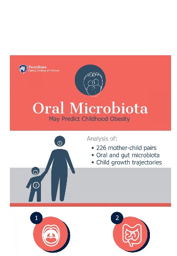 L'obésité est signée plus tôt dans le microbiote buccal que dans le microbiote intestinal 