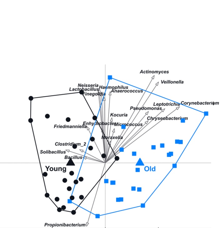 Il existe des variations dans les microbiomes cutanés des femlmes jeunes et plus âgées (Visuel Alkema et al., 2021, PLOS ONE, CC-BY 4.0)