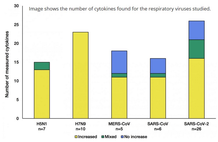 Ce schéma montre le nombre de cytokines trouvées pour les virus respiratoires étudiés (schéma Earlham Institute)