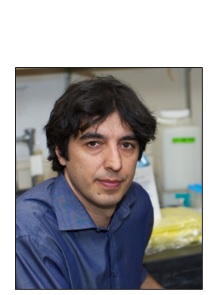 Vater Longo dirige l’Institut de la longévité de l’université de Californie du Sud (Los Angeles), où il est également professeur de gérontologie et de biologie Vater Longo dirige l’Institut de la longévité de l’université de Californie du Sud (Los Angeles), où il est également professeur de gérontologie et de biologie.