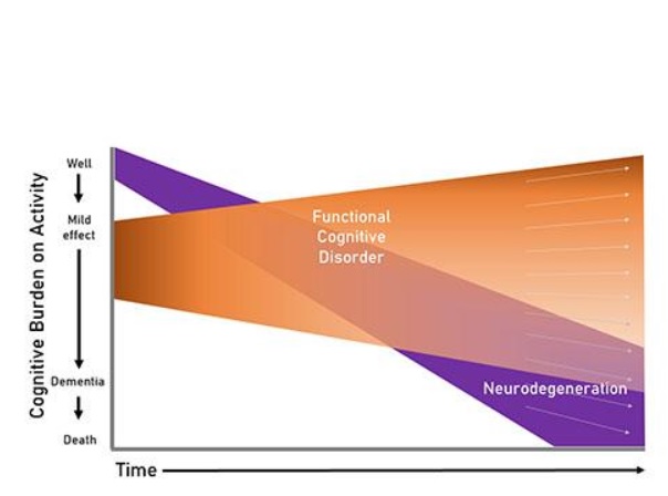 L’objectif est donc bien de démêler les causes des symptômes précoces de la mémoire (Université de Bristol)