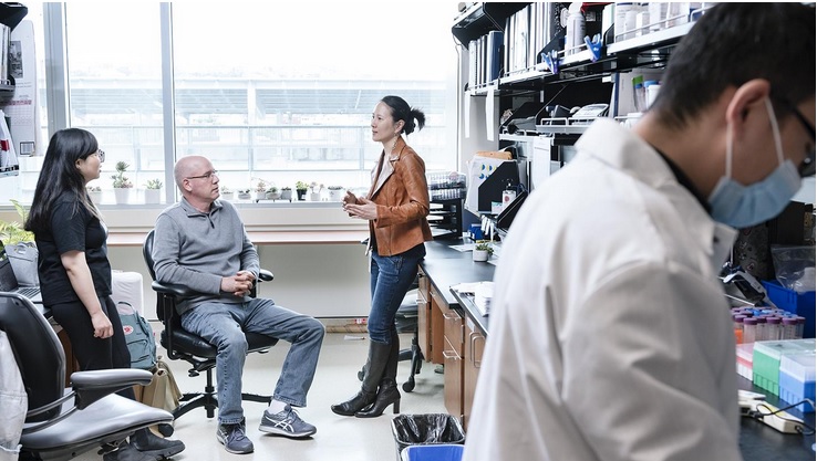 Ces scientifiques de l’Institut Gladstone de l’Université de Californie San Francisco (UCSF) et de l'Université Emory (Géorgie) viennent d’identifier des signatures de lymphocytes T qui peuvent contribuer à expliquer pourquoi certaines personnes développent un COVID-19 sévère (Visuel Gladstone Institutes) Ces scientifiques de l’Institut Gladstone de l’Université de Californie San Francisco (UCSF) et de l'Université Emory (Géorgie) viennent d’identifier des signatures de lymphocytes T qui peuvent contribuer à expliquer pourquoi certaines personnes développent un COVID-19 sévère (Visuel Gladstone Institutes)