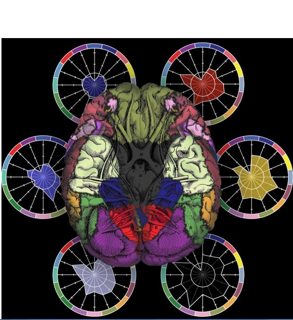 Nous essayons de passer de la vue instantanée de ces biomarqueurs à une compréhension plus dynamique qui capture les changements et les nuances Nous essayons de passer de la vue instantanée de ces biomarqueurs à une compréhension plus dynamique qui capture les changements et les nuances
