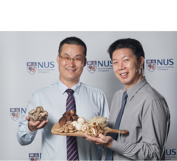 Le professeur adjoint Lei Feng (à gauche) et le chercheur Dr. Irwin Cheah (à droite sur visuel) de la NUS Le professeur adjoint Lei Feng (à gauche) et le chercheur Dr. Irwin Cheah (à droite sur visuel) de la NUS