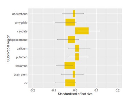 Effets de la dépression sur les différentes zones du cerveau Effets de la dépression sur les différentes zones du cerveau