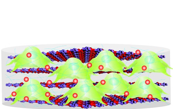 Ce nano-échafaudage biodégradable est composé de cellules souches, de protéines et de médicaments