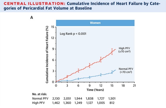 Les femmes présentant des quantités élevées de graisse péricardique encourent un risque multiplié par 2 d’insuffisance cardiaque(Visuel JACC)