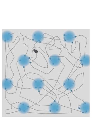 Un type de cellules cérébrales, appelées « grid cells » ou cellules de la grille code pour une variété de positions uniformément réparties dans l’espace. Il en résulte une sorte de motif en nid d'abeille qui occupe et définit l'espace Un type de cellules cérébrales, appelées « grid cells » ou cellules de la grille code pour une variété de positions uniformément réparties dans l’espace. Il en résulte une sorte de motif en nid d'abeille qui occupe et définit l'espace