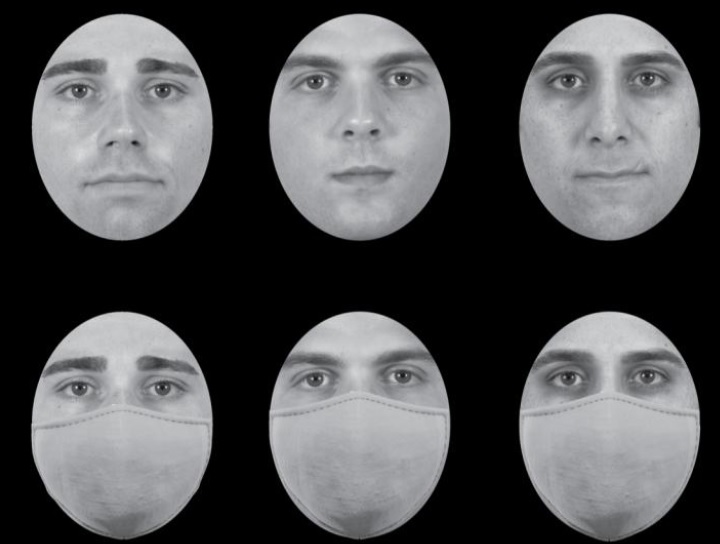 Chicago Face Database (Ma et al., 2015) Chicago Face Database (Ma et al., 2015)