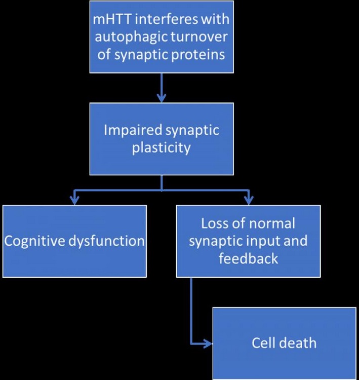 Visuel Journal of Huntington’s Disease 