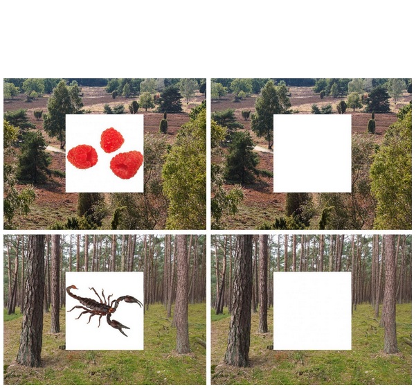 Les participants doivent retrouver, de mémoire, l'objet associé. Les participants doivent retrouver, de mémoire, l'objet associé.
