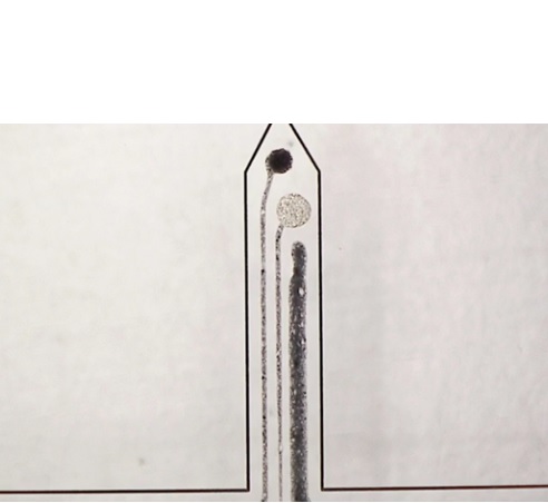 La technologie pourraégalement permettre d’implanter plus de capteurs le long de la moelle épinière, ce qui aiderait les chercheurs à déterminer la distance de propagation du glutamate et sa rapidité.