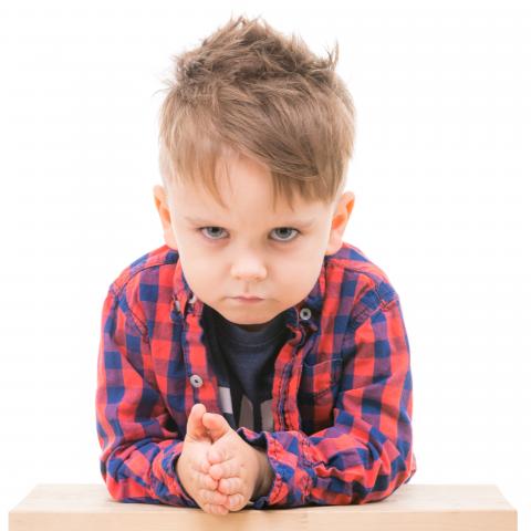 La trajectoire du développement psychologique de l'enfant dépend à la fois de la biologie, de la physiologie, de l'environnement psychosocial mais aussi du microbiome intestinal. La trajectoire du développement psychologique de l'enfant dépend à la fois de la biologie, de la physiologie, de l'environnement psychosocial mais aussi du microbiome intestinal.