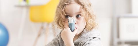 La fumée secondaire du cannabis, provoque aussi, comme le tabagisme passif, des symptômes d'asthme chez l'enfant allergique La fumée secondaire du cannabis, provoque aussi, comme le tabagisme passif, des symptômes d'asthme chez l'enfant allergique