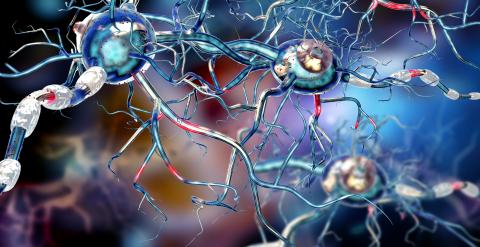 Le retour à un poids santé peut contribuer à améliorer les résultats cliniques chez ces patients (Visuel Adobe Stock 123383166). Le retour à un poids santé peut contribuer à améliorer les résultats cliniques chez ces patients (Visuel Adobe Stock 123383166).