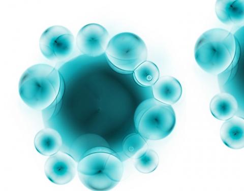 Le microbiote intestinal a son « Sommet mondial », c’est déjà une preuve, s’il en fallait, de son rôle de mieux en mieux documenté dans la Santé. Le microbiote intestinal a son « Sommet mondial », c’est déjà une preuve, s’il en fallait, de son rôle de mieux en mieux documenté dans la Santé.
