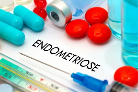 L'endométriose affecte 190 millions de femmes dans le monde. En identifiant une cause génétique de la maladie, ces chercheurs révèlent une nouvelle cible possible de traitement (Visuel Adobe Stock 126345857) L'endométriose affecte 190 millions de femmes dans le monde. En identifiant une cause génétique de la maladie, ces chercheurs révèlent une nouvelle cible possible de traitement (Visuel Adobe Stock 126345857)