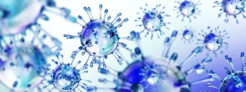 L’élimination des cellules vieillissantes ou sénescentes est avec la stimulation de la santé cellulaire via les mitochondries, l’une des principales voies poursuivies pour lutter contre le vieillissement. L’élimination des cellules vieillissantes ou sénescentes est avec la stimulation de la santé cellulaire via les mitochondries, l’une des principales voies poursuivies pour lutter contre le vieillissement.