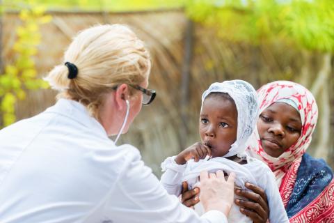 Certains médicaments anticancéreux démontrent un potentiel prometteur dans la lutte contre le paludisme (Visuel Adobe Stock 143463728) Certains médicaments anticancéreux démontrent un potentiel prometteur dans la lutte contre le paludisme (Visuel Adobe Stock 143463728)