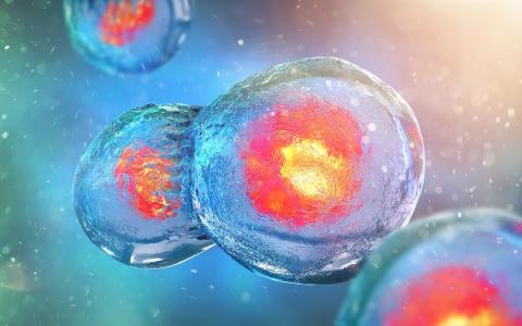 L’évaluation des médicaments sénolytiques qui ciblent la voie e la sénescence cellulaire révèle leur impact sur toute une gamme de maladies liées à l’âge L’évaluation des médicaments sénolytiques qui ciblent la voie e la sénescence cellulaire révèle leur impact sur toute une gamme de maladies liées à l’âge.