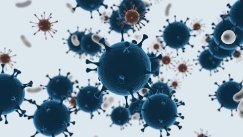 Pour la première fois, des scientifiques ont été en mesure d’examiner à la fois la forme et la capacité de nage de centaines de bactéries individuelles. Ils montrent que les médicaments les plus efficaces interfèrent avec le mouvement et la forme de la bactérie. Pour la première fois, des scientifiques ont été en mesure d’examiner à la fois la forme et la capacité de nage de centaines de bactéries individuelles. Ils montrent que les médicaments les plus efficaces interfèrent avec le mouvement et la forme de la bactérie.