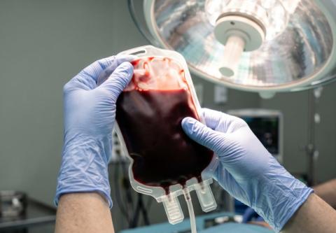 Ces experts s'interrogent sur la possibilité que des transfusions sanguines transmettent involontairement des protéines cérébrales pathologiques (Visuel Adobe Stock 2065599346) Ces experts s'interrogent sur la possibilité que des transfusions sanguines transmettent involontairement des protéines cérébrales pathologiques (Visuel Adobe Stock 2065599346)