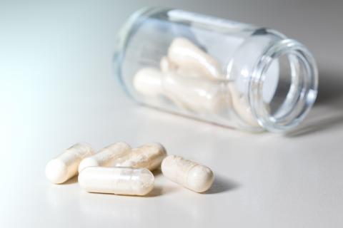 Cette recherche décrypte pour la première fois comment les cellules intestinales et les bactéries lactiques travaillent ensemble pour protéger contre les infections (Visuel Adobe Stock 213032834) Cette recherche décrypte pour la première fois comment les cellules intestinales et les bactéries lactiques travaillent ensemble pour protéger contre les infections (Visuel Adobe Stock 213032834)