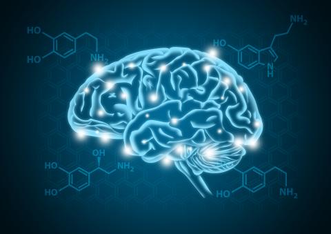Exercice = dopamine, cette simple équation permet d’expliquer pourquoi la pratique de l’exercice est bénéfique pour les patients atteints de la maladie de Parkinson (Visuel Adobe Stock 217102700) Exercice = dopamine, cette simple équation permet d’expliquer pourquoi la pratique de l’exercice est bénéfique pour les patients atteints de la maladie de Parkinson (Visuel Adobe Stock 217102700)