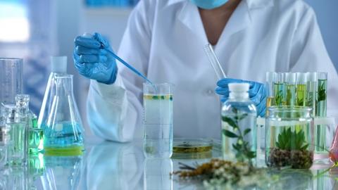 Cette toute première démonstration de la sensibilité olfactive à l’odeur du café ouvre la voie à de nouvelles thérapies possibles, par aversion, pour traiter les patients dépendants à certaines substances ayant une odeur bien spécifique, comme le tabac et le cannabis. Cette toute première démonstration de la sensibilité olfactive à l’odeur du café ouvre la voie à de nouvelles thérapies possibles, par aversion, pour traiter les patients dépendants à certaines substances ayant une odeur bien spécifique, comme le tabac et le cannabis.