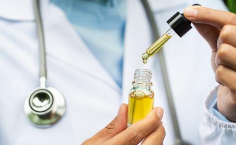 Le CBD réduit la taille du glioblastome et recrée un microenvironnement défavorable à la croissance de la tumeur (Adobe Stock 275023643) Le CBD réduit la taille du glioblastome et recrée un microenvironnement défavorable à la croissance de la tumeur (Adobe Stock 275023643)