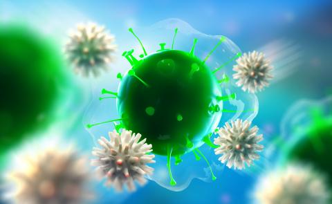 Comment notre horloge biologique peut influencer nos réponses aux vaccins (Visuel Adobe Stock 286254916) Comment notre horloge biologique peut influencer nos réponses aux vaccins (Visuel Adobe Stock 286254916)
