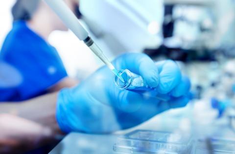 Un dispositif qui sélectionne les spermatozoïdes suffisamment performants pour nager à contre-courant (Visuel Adobe Stock 296392470) Un dispositif qui sélectionne les spermatozoïdes suffisamment performants pour nager à contre-courant (Visuel Adobe Stock 296392470)