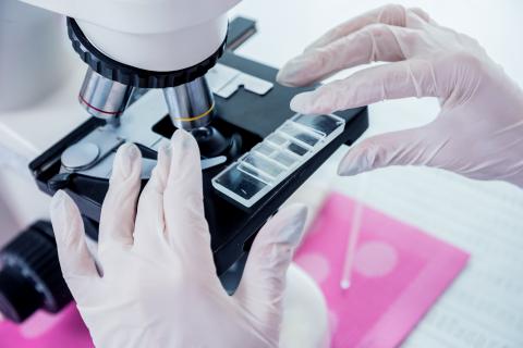 La recherche identifie dans le clautrum, un groupe très spécifique de cellules cérébrales qui contrôle les comportements liés au stress et à l'anxiété (Visuel Adobe Stock 298598067) La recherche identifie dans le clautrum, un groupe très spécifique de cellules cérébrales qui contrôle les comportements liés au stress et à l'anxiété (Visuel Adobe Stock 298598067)