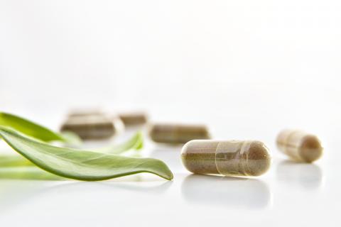 Un extrait de plante (Thapsia garganica), la thapsigargines'avère efficace à bloquer la variante delta, hautement infectieuse, du SRAS-CoV-2 (Visuel Adobe Stock 299431131). Un extrait de plante (Thapsia garganica), la thapsigargines'avère efficace à bloquer la variante delta, hautement infectieuse, du SRAS-CoV-2 (Visuel Adobe Stock 299431131).