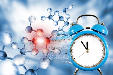 Les régimes riches en graisses « cassent l'horloge biologique », ce qui pourrait être une cause sous-jacente de l'obésité (Visuel Adobe Stock 308086464) Les régimes riches en graisses « cassent l'horloge biologique », ce qui pourrait être une cause sous-jacente de l'obésité (Visuel Adobe Stock 308086464)