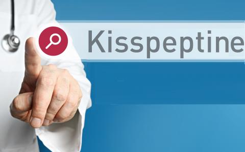 Mieux connue comme l’hormone de la libido, la kisspeptine apparait ici comme une nouvelle piste prometteuse pour traiter les maladies du foie (Visuel Adobe Stock 339451205) Mieux connue comme l’hormone de la libido, la kisspeptine apparait ici comme une nouvelle piste prometteuse pour traiter les maladies du foie (Visuel Adobe Stock 339451205)