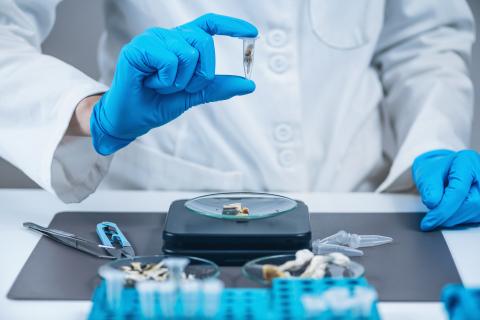 La psilocybine, cette substance hallucinogène commence à être largement documentée pour ses propriétés antidépressives (Visuel Adobe Stock 360119355) La psilocybine, cette substance hallucinogène commence à être largement documentée pour ses propriétés antidépressives (Visuel Adobe Stock 360119355)