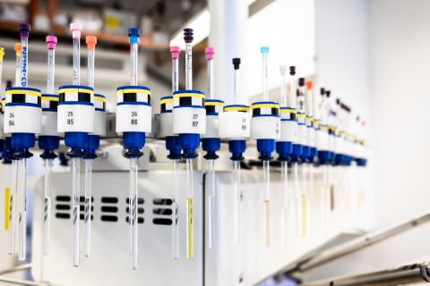 Ces travaux décrivent ainsi comment la souche virale SARS-CoV-2 originale qui a émergé au début de 2020, a pu se verrouiller sur des sucres appelés acides sialiques (Visuel Adobe Stock 414131750) Ces travaux décrivent ainsi comment la souche virale SARS-CoV-2 originale qui a émergé au début de 2020, a pu se verrouiller sur des sucres appelés acides sialiques (Visuel Adobe Stock 414131750)