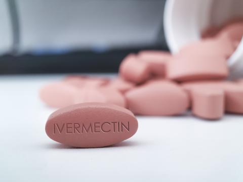 La découverte de failles méthodologiques dans une étude récente suggérant que le médicament réduit considérablement les décès liés au COVID-19 affaiblit aujourd’hui à nouveau les promesses de l'ivermectine et rouvre le débat (Adobe Stock 450528780) La découverte de failles méthodologiques dans une étude récente suggérant que le médicament réduit considérablement les décès liés au COVID-19 affaiblit aujourd’hui à nouveau les promesses de l'ivermectine et rouvre le débat (Adobe Stock 450528780)