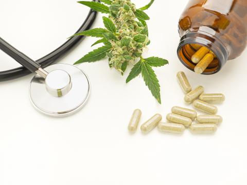 L’équipe propose une feuille de route pour mieux cadrer la prescription et l’utilisation du cannabis. Médical. (Visuel Adobe Stock 485714381) L’équipe propose une feuille de route pour mieux cadrer la prescription et l’utilisation du cannabis. Médical. (Visuel Adobe Stock 485714381)