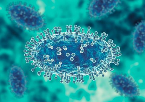 Ce sont de nouvelles données sur l'innocuité et de l'efficacité du tecovirimat dans le traitement du « monkeypox » ou variole du singe (Visuel Adobe Stock 506754004) Ce sont de nouvelles données sur l'innocuité et de l'efficacité du tecovirimat dans le traitement du « monkeypox » ou variole du singe (Visuel Adobe Stock 506754004)