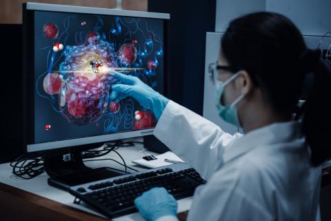 Cette équipe vient de découvrir une nouvelle classe de peptides ribosomiques (RiPP) à activité hémolytique (Visuel Adobe Stock 547781884) Cette équipe vient de découvrir une nouvelle classe de peptides ribosomiques (RiPP) à activité hémolytique (Visuel Adobe Stock 547781884)