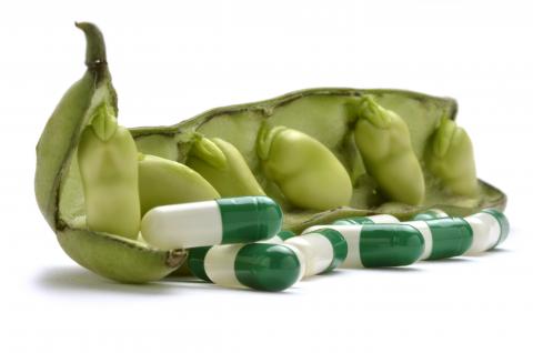 L’alimentation serait-elle un outil supplémentaire dans notre arsenal pour lutter contre COVID-19 ? (Visuel Adobe Stock 64843612) L’alimentation serait-elle un outil supplémentaire dans notre arsenal pour lutter contre COVID-19 ? (Visuel Adobe Stock 64843612)