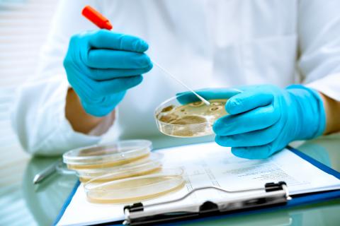 Les microbes intestinaux diffèrent chez les hommes atteints d'un cancer de la prostate (Visuel Adobe Stock 77074234) Les microbes intestinaux diffèrent chez les hommes atteints d'un cancer de la prostate (Visuel Adobe Stock 77074234)