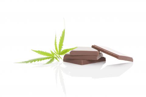 D’autres recherches devront précisément les effets cognitifs à long terme du « cannabis alimentaire ». D’autres recherches devront précisément les effets cognitifs à long terme du « cannabis alimentaire ».