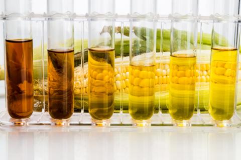 Des apports élevés de fructose peuvent empêcher le bon fonctionnement du système immunitaire (Visuel Adobe Stock 92904091). Des apports élevés de fructose peuvent empêcher le bon fonctionnement du système immunitaire (Visuel Adobe Stock 92904091).
