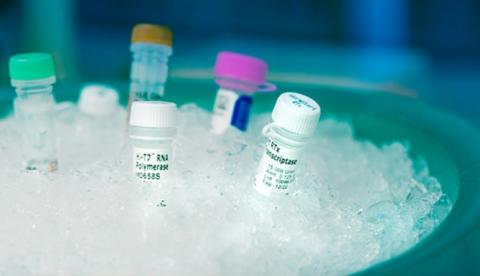 Le test détecte spécifiquement les séquences d’ARN viral sans avoir besoin de réactifs(Visuel © 2022 KAUST ; Anastasia Serin) Le test détecte spécifiquement les séquences d’ARN viral sans avoir besoin de réactifs(Visuel © 2022 KAUST ; Anastasia Serin)