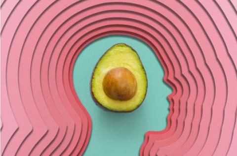 La consommation quotidienne d'avocat aurait également des effets cognitifs bénéfiques La consommation quotidienne d'avocat aurait également des effets cognitifs bénéfiques