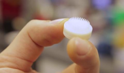 C'est la première fois que des follicules pileux humains sont entièrement générés en nombre, en laboratoire, avant qu'il ne soit nécessaire de les implanter dans la peau. C'est la première fois que des follicules pileux humains sont entièrement générés en nombre, en laboratoire, avant qu'il ne soit nécessaire de les implanter dans la peau.