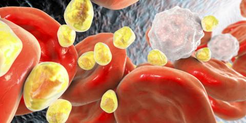 Les ARNs longs non codants jouent un rôle clé dans les maladies cardiovasculaires. Nous identifions ici un lncRNA qui active les macrophages et les voies à potentiel thérapeutique (Visuel Fotolia). Les ARNs longs non codants jouent un rôle clé dans les maladies cardiovasculaires. Nous identifions ici un lncRNA qui active les macrophages et les voies à potentiel thérapeutique (Visuel Fotolia).